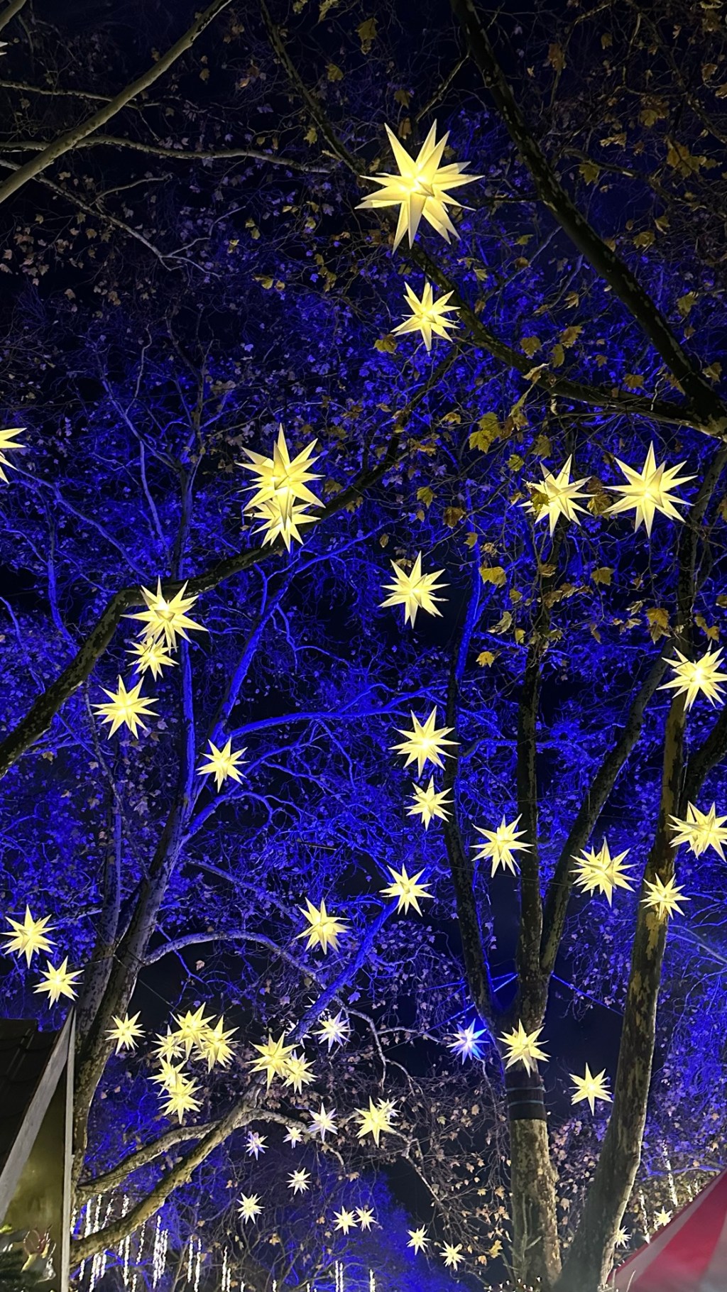 Cologne Christmas Markets